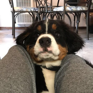 Meet your Posher, Olivia